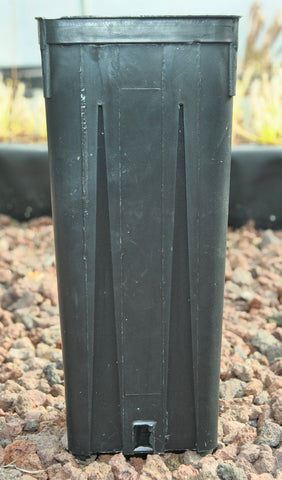 pots hauts 9x9x20cm