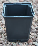 Pots 9x9x9,5cm